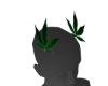 420GIRLIES
