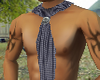 (MSis) Blue Check Scarf