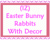Bunny Rabbits With Decor