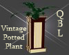 Vintage Potted Plant