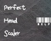 ③ P Head Scaler V1