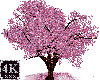 4K Blossom Tree