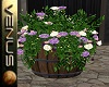 ~V~Flower Barrel-Purpl/W