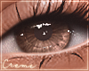  ☀️ Eyes | Brown