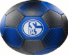 Schalke AnimadFootbal5