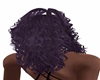 Purple Mist Curly