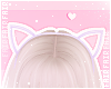 🌸 Kitty Headband Lilc