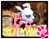 [popo]Happy Rabbit!sound