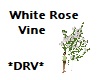 *DRV* White Rose Vine