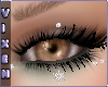 Shine; Amber