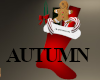 Autumn's custom stocking