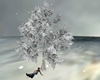 Winter's Kissing Tree
