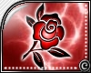 (c) Deb's Red Rose