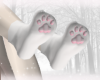 paw socks