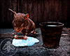 Cleaning Rat Animated