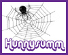 ~~HH~~Spider in web