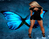 Butterfly/SpecialRequest