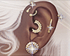 SM Gold Multi Earrings