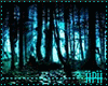 Ambient Forest Night