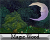 (A) Magic Wood