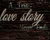 (CS) Love Story