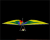 Colorful Glider