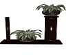 Double Decor Plant