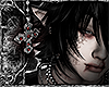 ✟﹔Yoru