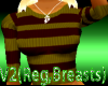 *~T~*Green Sweater v2