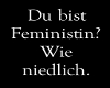 Feministin