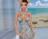 Silver Sparkle Dress