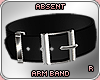 !A !A Santa Arm Band R