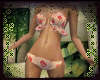 💮 Bikini Bundle