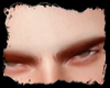 Arch Brows Ginger