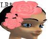 Pink Roses