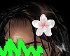 flower girl