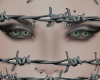 barbed wire