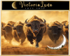 Western Bufalo Crossing
