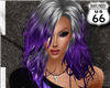 SD Isabell Grey Purple