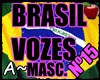 A~ Brasil Vozes Nº15 NEW