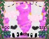 ꨄBlossom Rosesꨄ