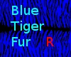 Blue Tiger Fur (Rave)