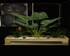 Lore´s Potted Plants