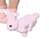 rabbit  pet