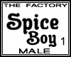 TF Spice Boy Avi 1