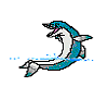 *(A)(T)Playful Dolphin