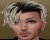 Dark Blond Mens