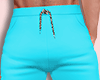 Beach Turqouise Shorts