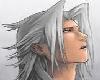 (PI) Xemnas Picture