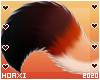 H! Equinox Tail